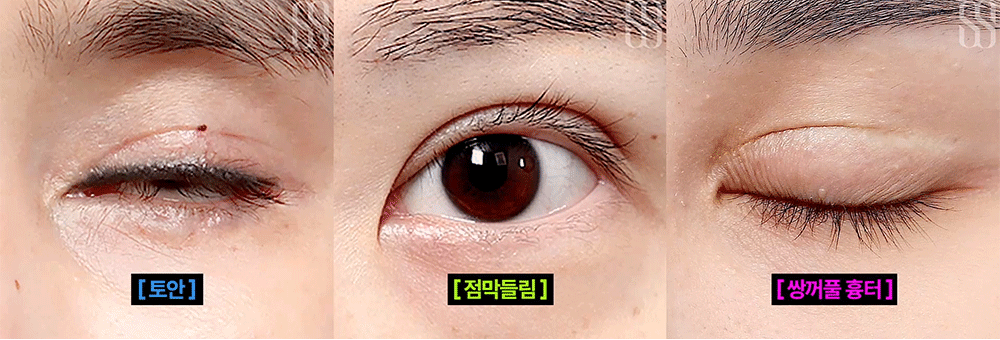 d40f0a4a79145adc0ee66edb314cb744_1789374395_2552.gif