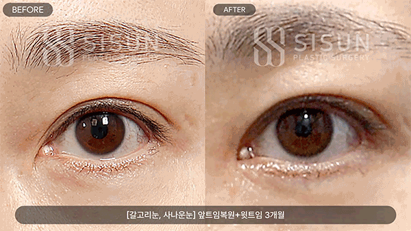 ebaee960c5606a7129c7d836b7f4101d_1789627004_8163.gif