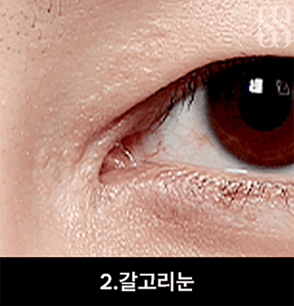 45335d80a769445d7cad897e72ce1ec3_1791185813_0388.gif