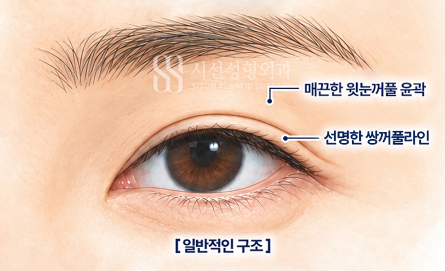 b40905d0cc99010a78448aed5f611452_1792401159_4544.jpg